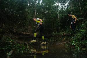 BIB: 
                            <button type="button" onclick="openModal(22516320)" class="btn btn-primary btn-sm float-right btn-popup" data-toggle="modal" data-target=".modal-high-quality">
                        <i class="fas fa-shopping-cart"></i> Add to Cart
                    </button>
                                            <button type="button" onclick="isThisMe(22516320, true)" class="btn btn-success btn-sm float-right btn-popup btn-isme hidden" data-toggle="tooltip" data-placement="bottom" title="นี่คือรูปของคุณใช่ไหม คลิกที่นี่เพื่อเอาเข้าอัลบั้ม">
                        <i class="fas fa-plus"></i> Add to album
                    </button>
                    <button type="button" onclick="isThisMe(22516320, false)" class="btn btn-warning btn-sm float-right btn-popup btn-isnotme hidden">
                        <i class="fas fa-ban"></i> Remove from album
                    </button>